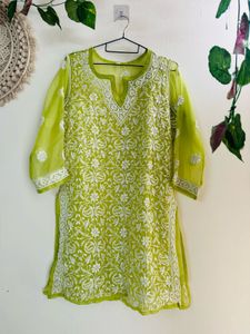 Lucknawi authentic Chickenkari Flared Co-Ord Set