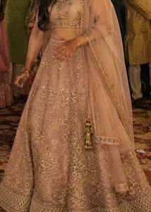 elegant lehnga choli