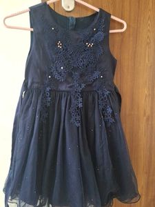 Navy Blue Embroidered Party Gown
