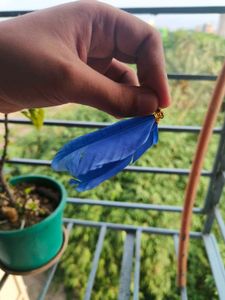 Vibrant Blue Feather Earrings