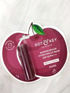 Dot &amp; Key Lip Balms - Set of 5