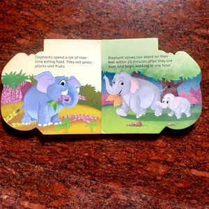 Set of 3 books for early learning