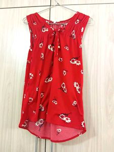 Indo-western Top