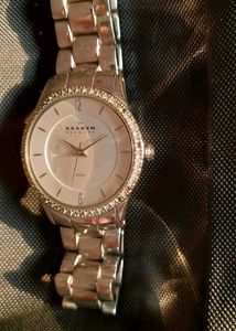 Skagen Denmark Women's Watch Steel