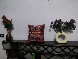 Cushion Pillow
