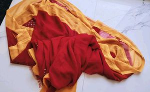 Ethnic saree and blouse