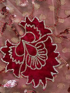 Beautiful Saree Half Net