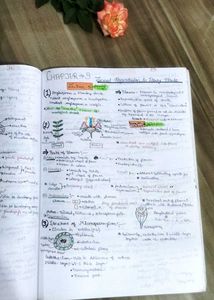 🎀 Neet All Subject notes 📚💚
