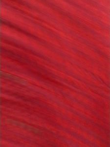 Cotton Kurthi Maroon And Red Mixed