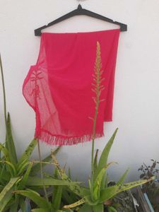 Colorful Dupatta Set of Four