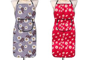Apron
