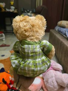 Adorable Teddy Bear in Green Plaid Dress