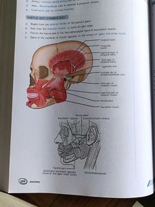 PW MED ED anatomy notes of Dr. Pradeep Pawar