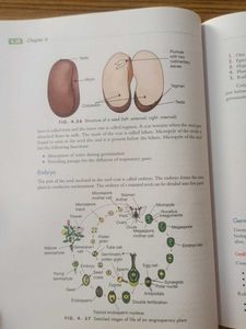 Pearson Biology Class 10 foundation series