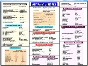 NEET Biology MindMaps