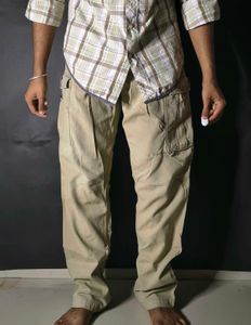 carhartt beige Cargo Pants