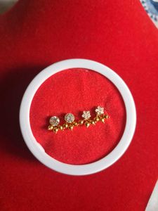 beautiful new earrings