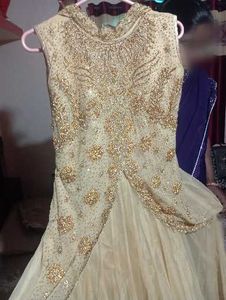Elegant Embroidered Ethnic Gown