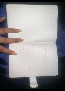 Capybara Diary