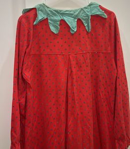 🇨🇳Cute Strawberry Nightgown