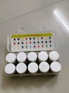 Fevicryl Acrylic Colours Set