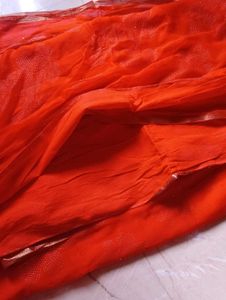 Orange Saree with Floral Embellishments