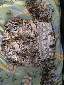 Leopard Print Sheer Top with Lace Detail