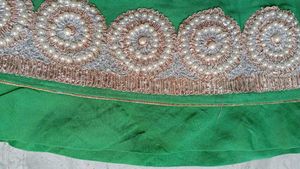 beautiful rajputi poshak  without odni