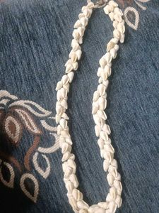 Unique Seashell Necklace