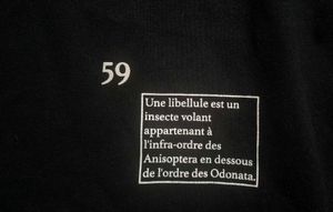 Oversized Graphic Print Black T-Shirt