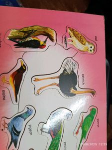 New Wooden  Birds Puzzle