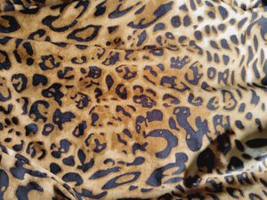 Leopard 🐆 Print Leggings Kk