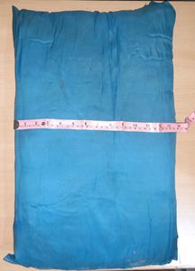 Set Of 2 Blue Colour Pillows