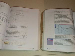 Introductory Microeconomics &amp; St