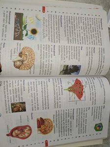 Science Pictorial Dictionary