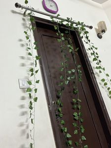 Decor Money Plan Leaves Shurb (2 Ladi )