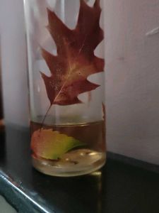 Bath And Body Works Discontinued Fragrance ❤