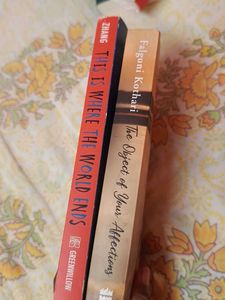 Two Novels: The Object of Your Affections &amp; This i