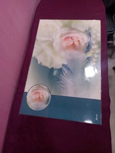 New but without tag( Reversible ) Table Mat