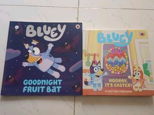 Children's book - Bluey
