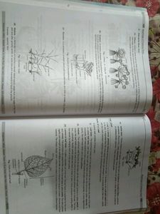 Botany For Neet....!