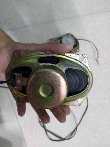 Pair of Oval Speakers