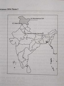 CBSE Class10 Last 10 Years Solved Paper