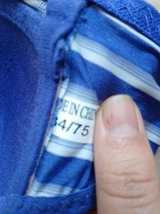 Blue Striped Padded Bra