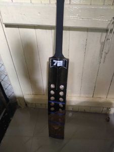 Cricket Bat Player's Edition