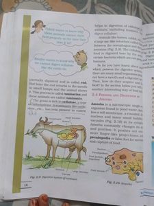 Science NCERT Textbook for Class 7