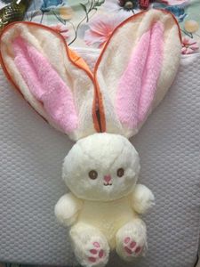 Cute Carrot Pouch plushie toy