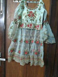 Exquisite Embroidered Lehenga Choli Set