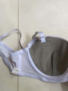 New Strapless Padded Bra