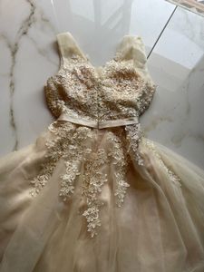 vintage Lace tulle dress